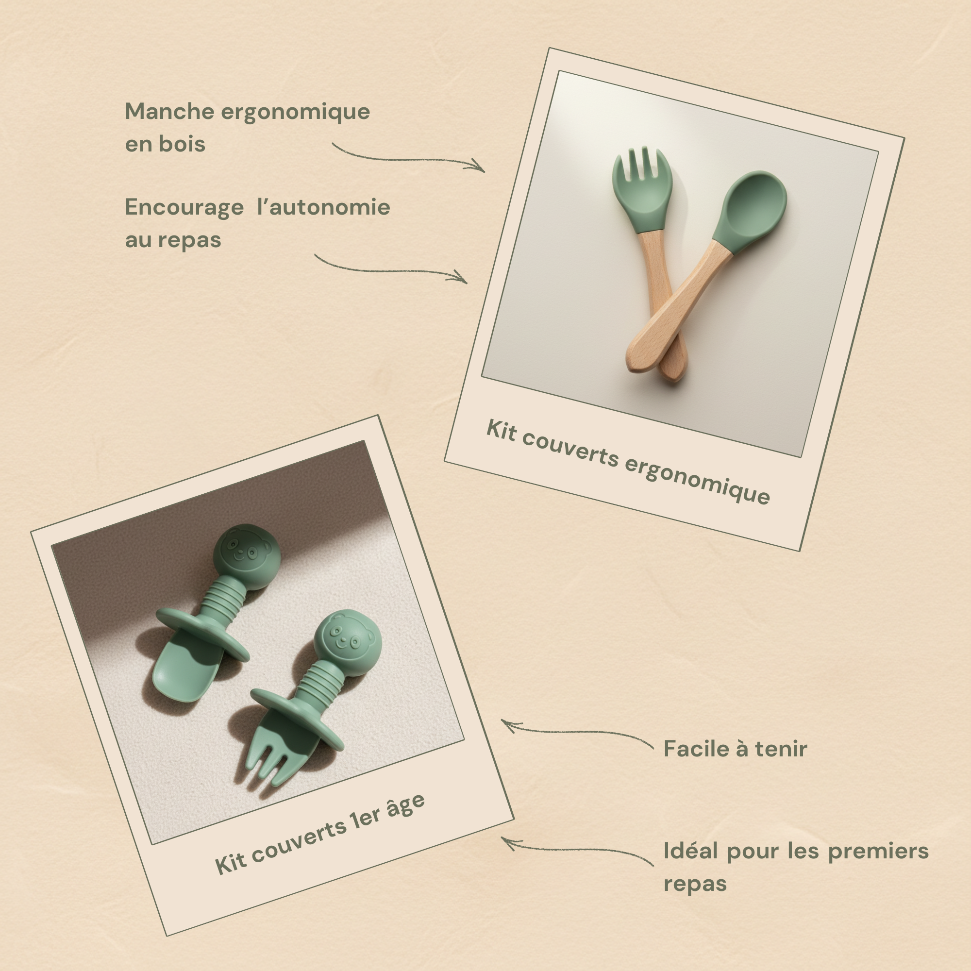 Le Coffret Repas - Édition Sauge L'Atelier Zebulon